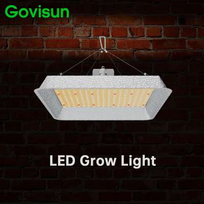 Govisun high par value 100w panel led grow light for grow seedlings